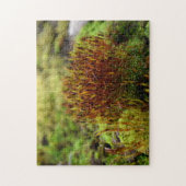 Puzzle Mosses (Vertical)