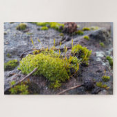 Puzzle Mosses (Horizontal)