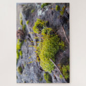 Puzzle Mosses (Vertical)