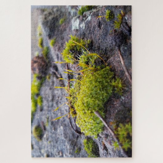 Puzzle Mosses (Vertical)