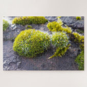 Puzzle Mosses (Horizontal)
