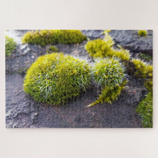Puzzle Mosses (Horizontal)