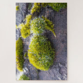 Puzzle Mosses (Vertical)