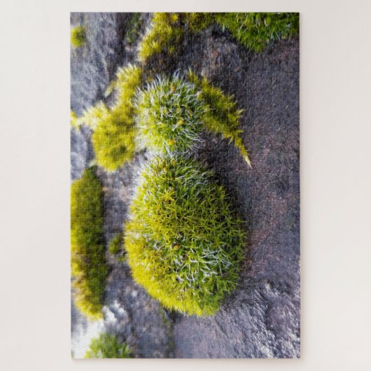 Puzzle Mosses (Vertical)