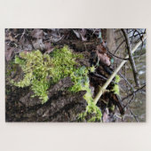 Puzzle Mosses (Horizontal)