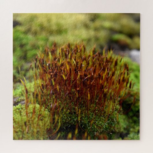 Puzzle Mosses (Horizontal)