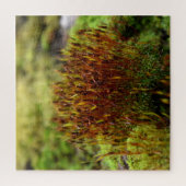 Puzzle Mosses (Vertical)
