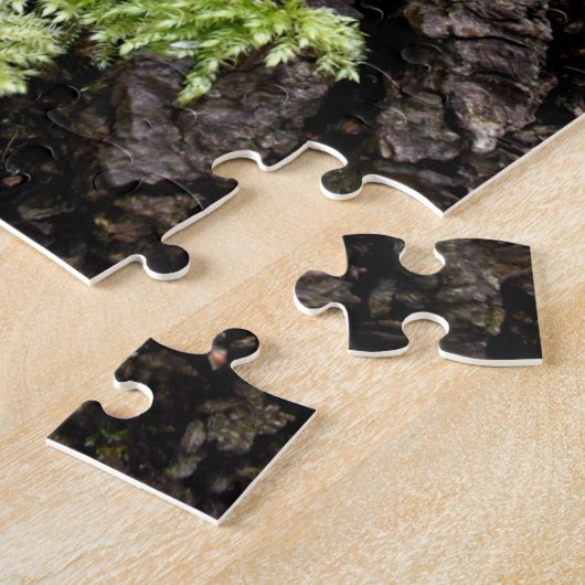 Puzzle Mosses (Côté)