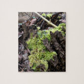 Puzzle Mosses (Vertical)