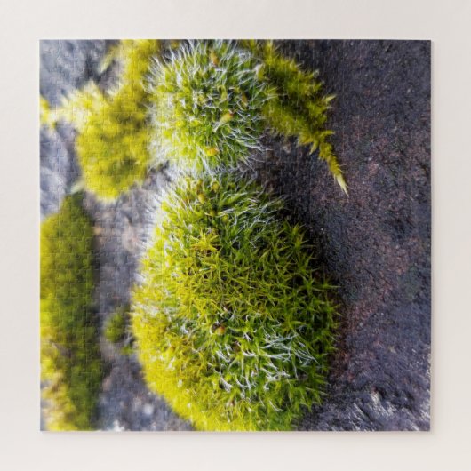 Puzzle Mosses (Vertical)