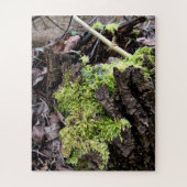 Puzzle Mosses (Vertical)