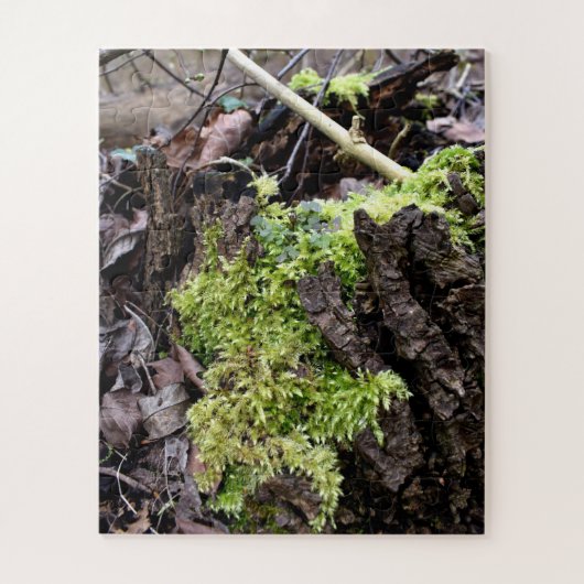 Puzzle Mosses (Vertical)