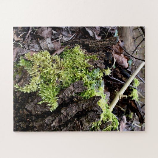 Puzzle Mosses (Horizontal)