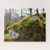 Puzzle Mosses (Horizontal)
