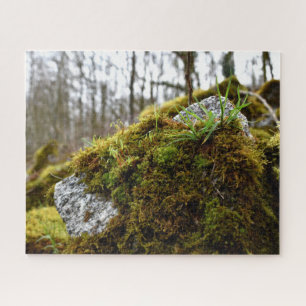 Puzzle Mosses