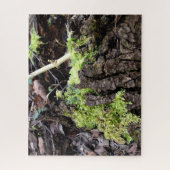 Puzzle Mosses (Vertical)
