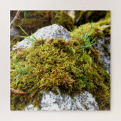 Puzzle Mosses (Horizontal)