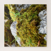 Puzzle Mosses (Vertical)