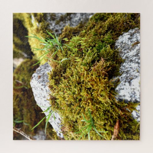 Puzzle Mosses (Vertical)