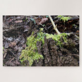 Puzzle Mosses (Horizontal)