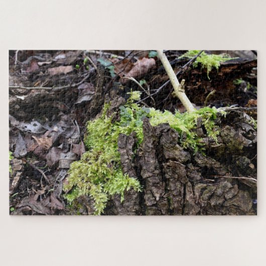 Puzzle Mosses (Horizontal)