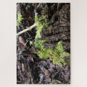 Puzzle Mosses (Vertical)