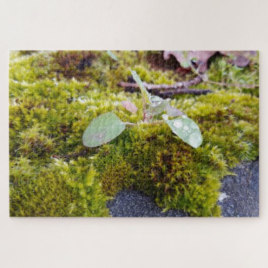 Puzzle Mosses (Horizontal)