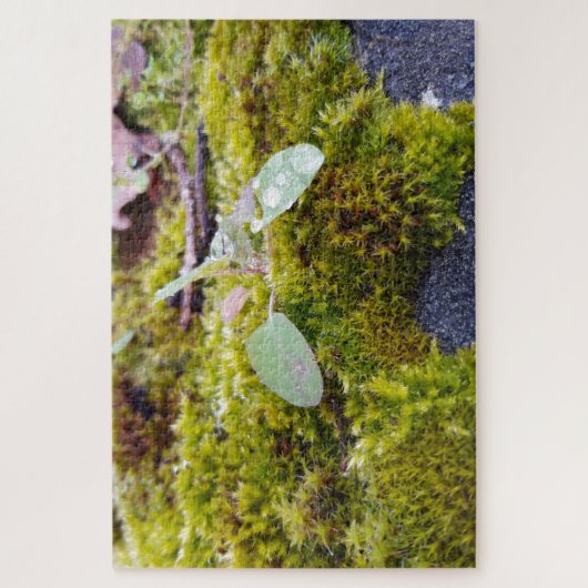 Puzzle Mosses (Vertical)