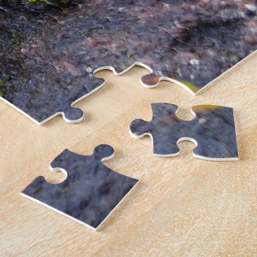 Puzzle Mosses (Côté)