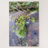 Puzzle Mosses (Vertical)