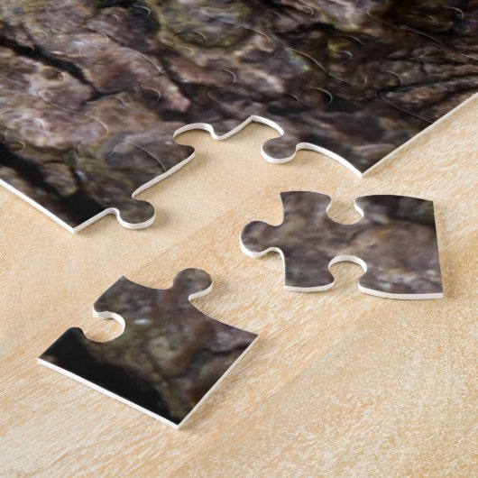 Puzzle Mosses (Côté)