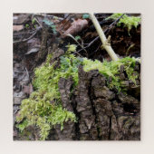 Puzzle Mosses (Horizontal)