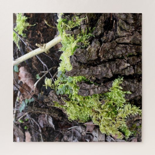 Puzzle Mosses (Vertical)