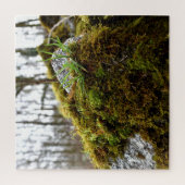 Puzzle Mosses (Vertical)