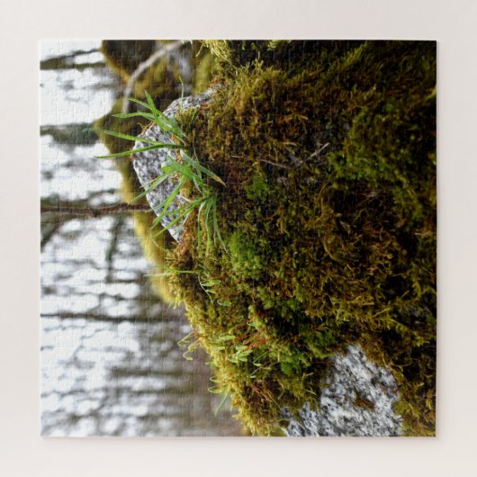 Puzzle Mosses (Vertical)