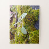 Puzzle Mosses (Vertical)