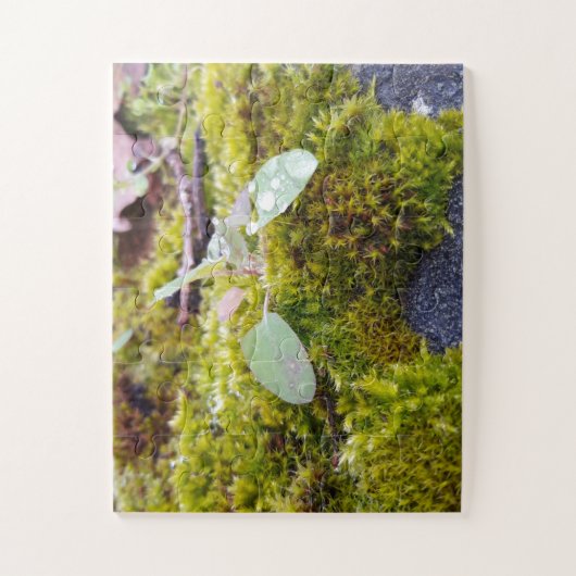 Puzzle Mosses (Vertical)