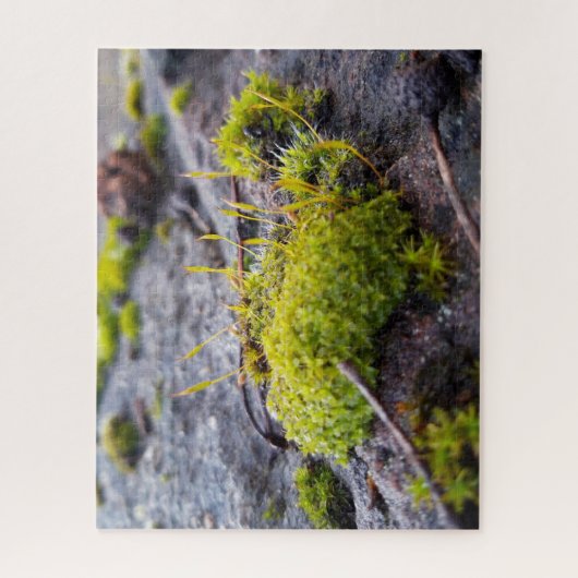 Puzzle Mosses (Vertical)