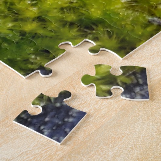 Puzzle Mosses (Côté)