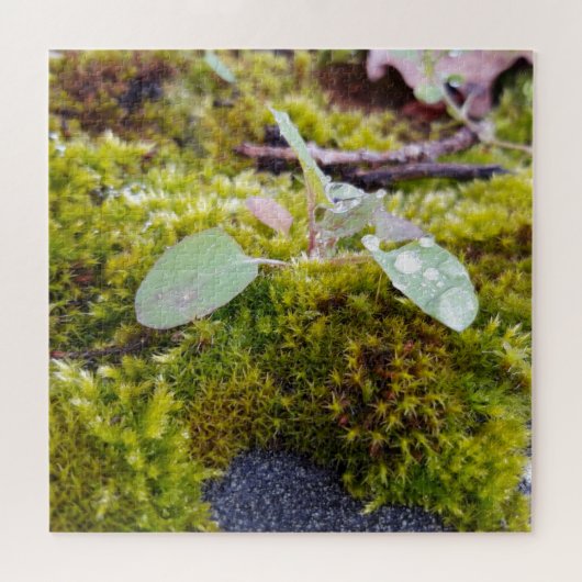 Puzzle Mosses (Horizontal)