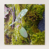 Puzzle Mosses (Vertical)