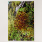 Puzzle Mosses (Vertical)