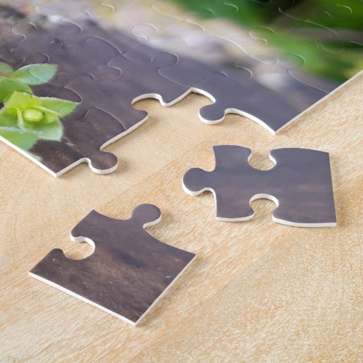 Puzzle Mosses (Côté)