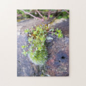 Puzzle Mosses (Vertical)