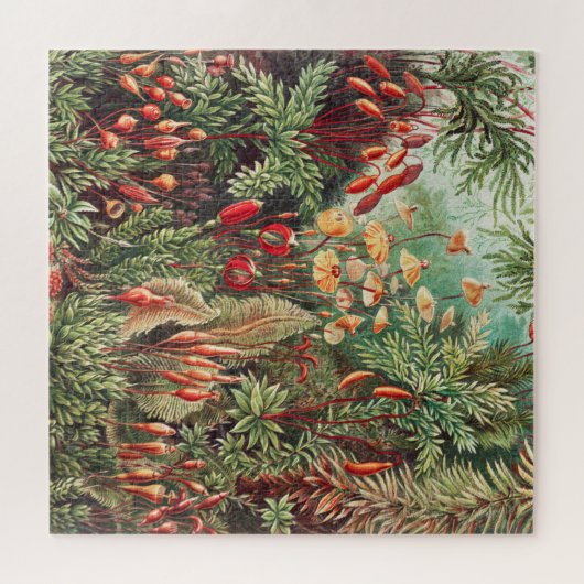 Puzzle Mosses, Muscinae Laubmoose par Ernst Haeckel (Horizontal)