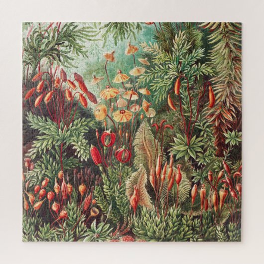 Puzzle Mosses, Muscinae Laubmoose par Ernst Haeckel (Vertical)