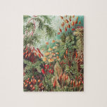 Puzzle Mosses, Muscinae Laubmoose par Ernst Haeckel<br><div class="desc">Muscinae Laubmoose par Ernst Haeckel Plantes Vintages Jigsaw Puzzle.</div>