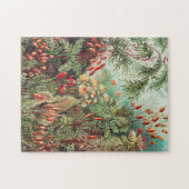 Puzzle Mosses, Muscinae Laubmoose par Ernst Haeckel (Horizontal)