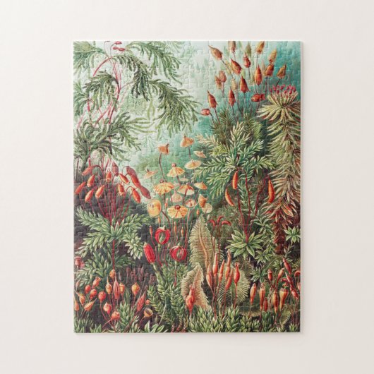 Puzzle Mosses, Muscinae Laubmoose par Ernst Haeckel (Vertical)