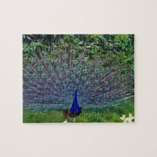 Puzzle Motif Coloré Oiseau Paon Art Indien Destinée
